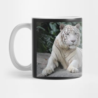 White Tiger 4 Mug